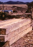 rough cut lumber beams at the Greenleaf sawmill